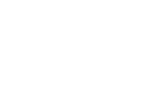 INTER(MISSION)