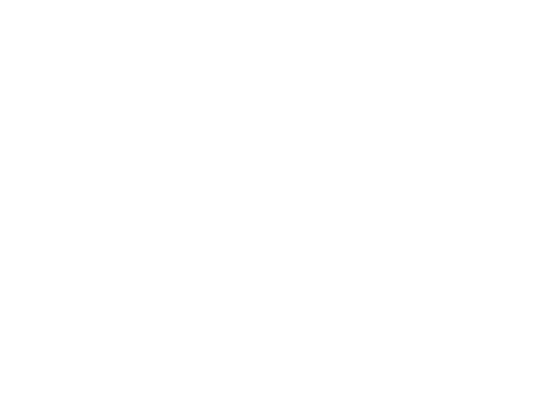 INTER(MISSION)